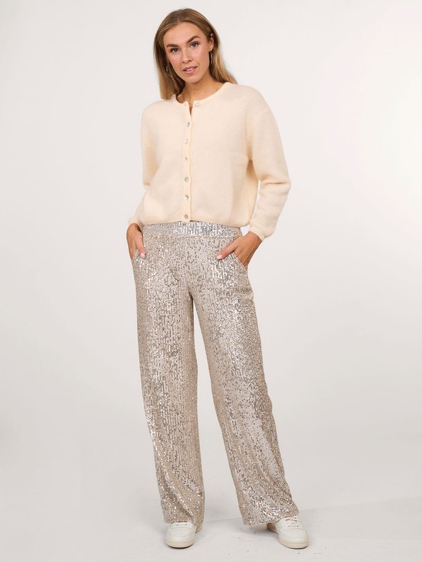 Ontdek de Tracey geweven broek met pailletten van Studio Anneloes in de kleur goudkleur bij Orangebag. Op werkdagen voor 21:45 besteld, morgen in huis.