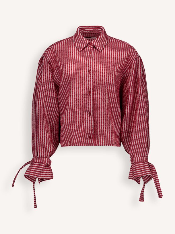 Ontdek de Ivara geweven seersucker blouse van Studio Anneloes in de kleur Rood bij Orangebag. Op werkdagen voor 21:45 besteld, morgen in huis.
