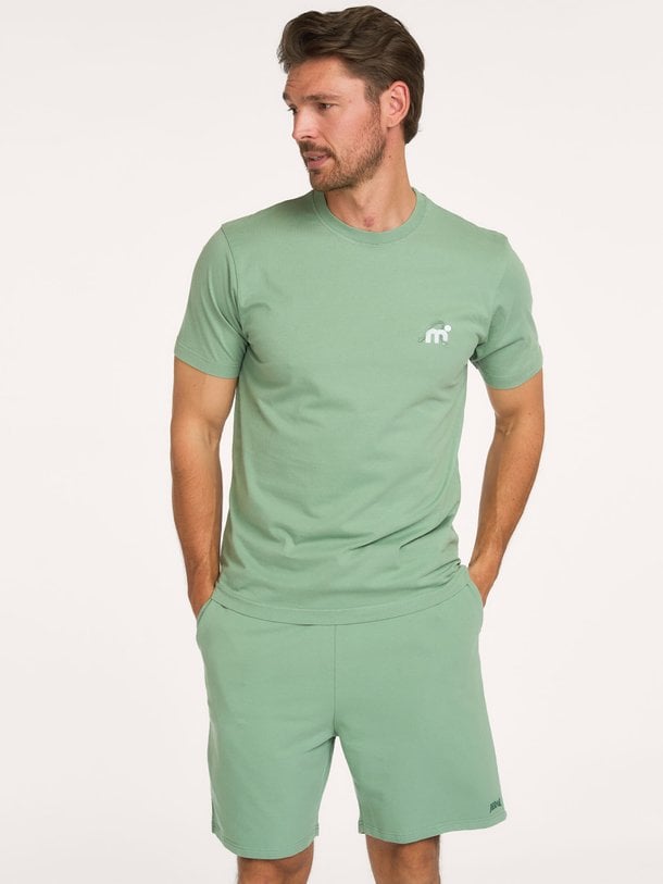 Ontdek dit comfortabele saliegroene Mistral T-shirt met subtiel logo. Perfect voor een relaxte zomerse look. Shop Mistral nu bij Orangebag.